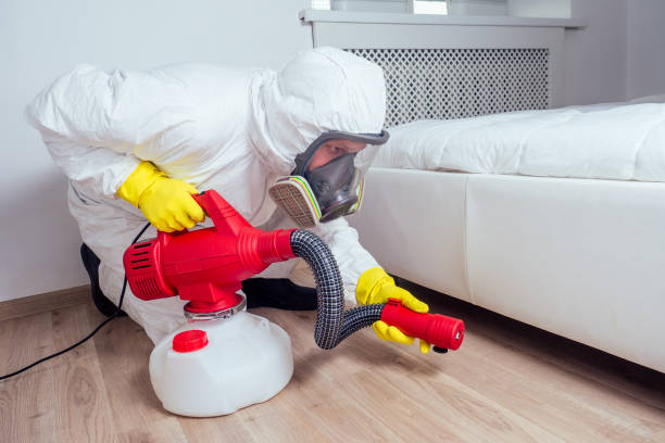 Best Pest Prevention Services  in Dover, NH